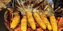 Grilled Roasted Corn On The Cob Recipe