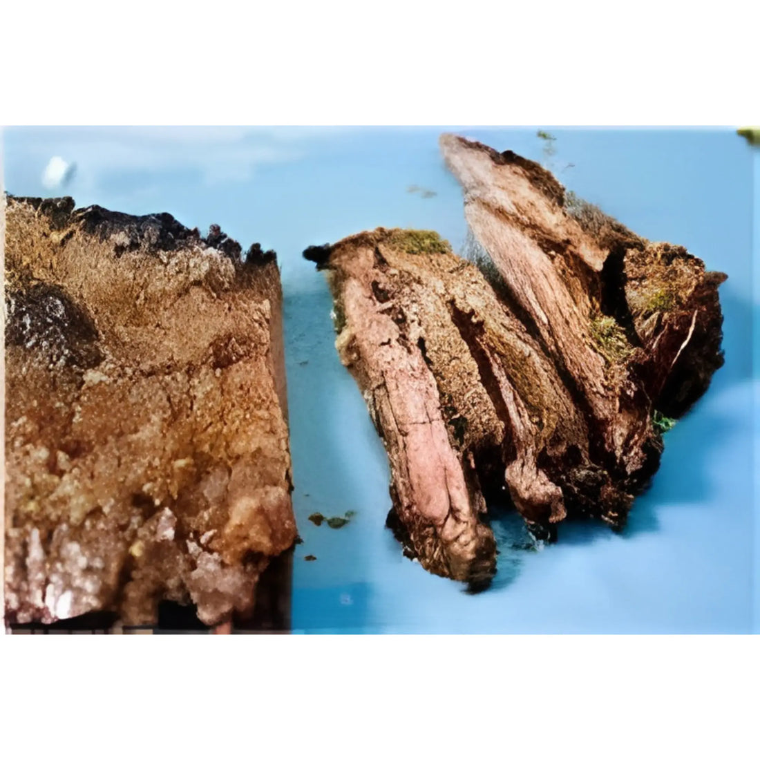 Carne Asada Recipe Variations: Explore Three Unique Homemade Ideas Jake's Famous
