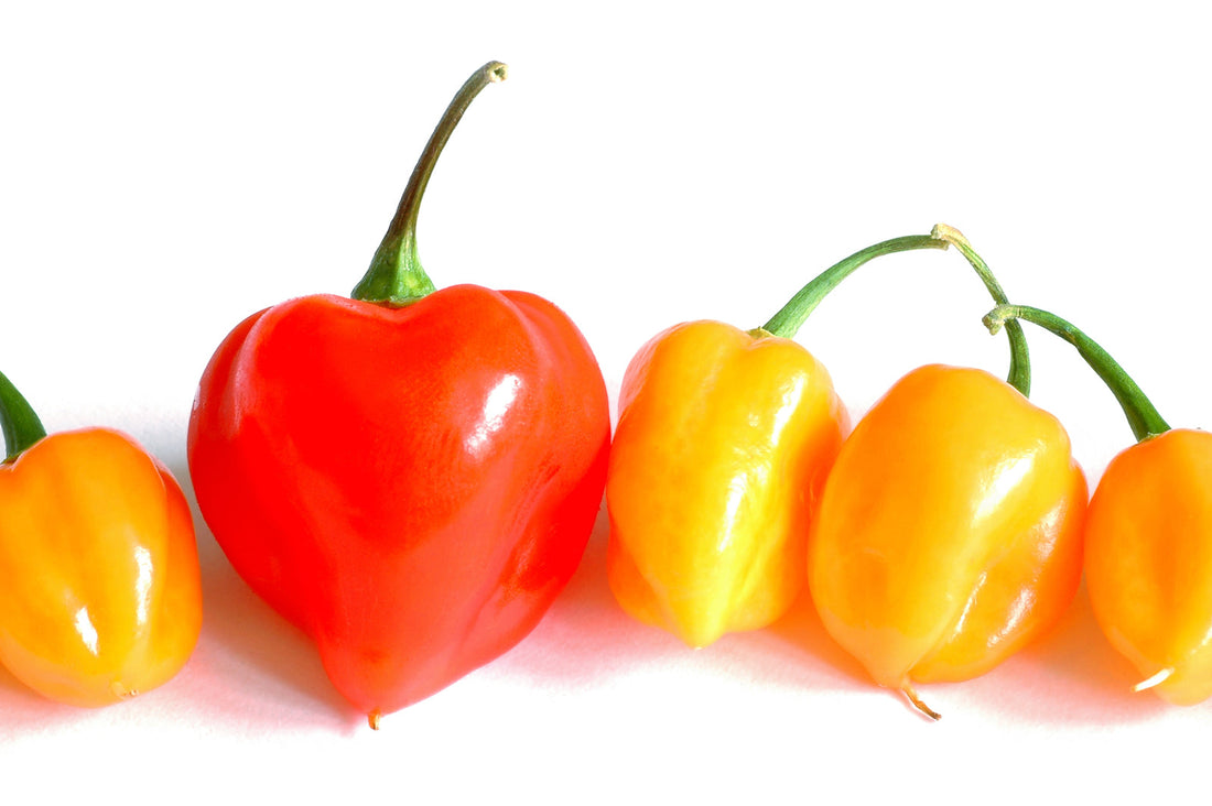 Scoville Units BBQ Explained: Understanding Heat Levels in Barbecue