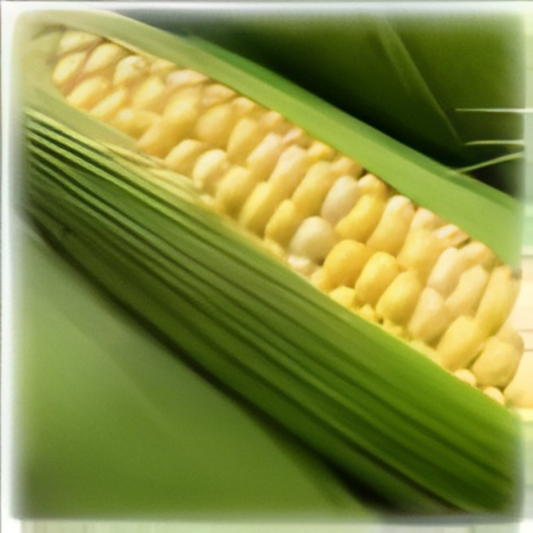 Microwave Corn Recipe On The Cob Recipe for Delicious and Quick Meals