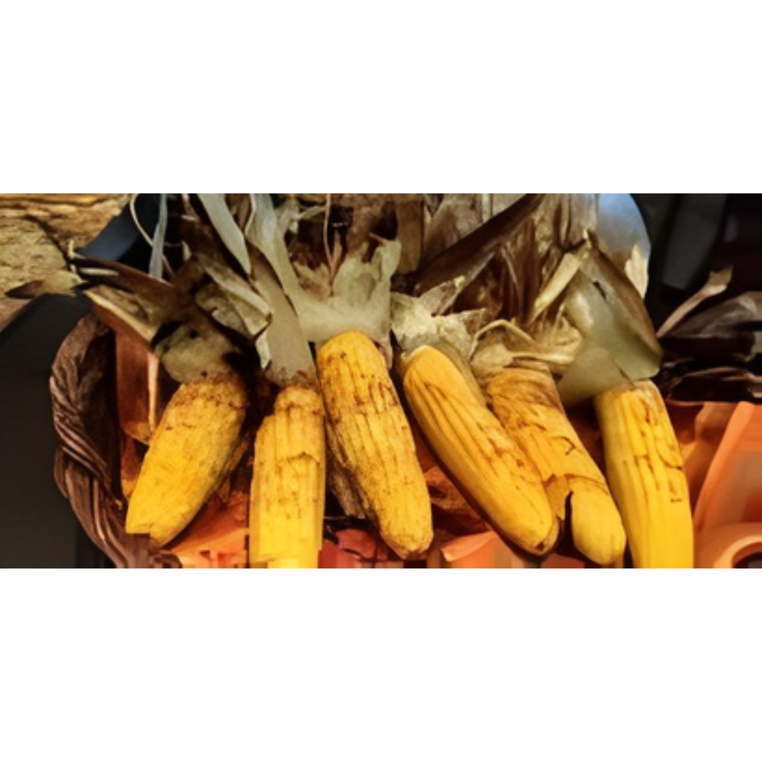 Roasted Corn on the Grill: A Simple Recipe Jake's Famous