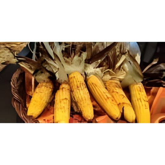 Roasted Corn on the Grill: A Simple Recipe