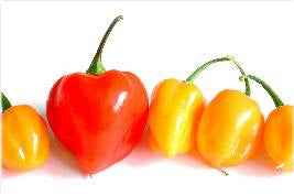 Why Eating Chili Peppers in BBQ Sauce Will Benefit You